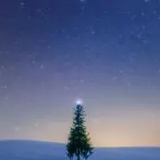 なーの画像