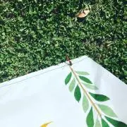 みいの画像