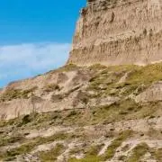 【次回発送6月28日】 ⭐の画像