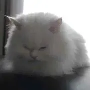 ごくう※プロフ確認下さい※