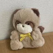えこの画像