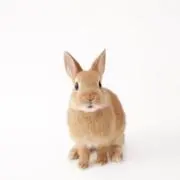 yu☆yuの画像