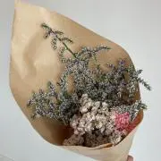 Ｋの画像
