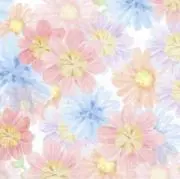 ⭐︎の画像