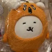 リリースの画像