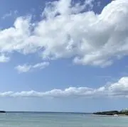 seaの画像
