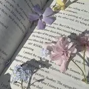 minminの画像