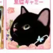＊ぽっち＊Neco