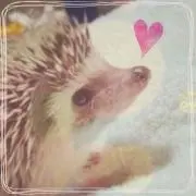 ゆいゆい