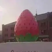 tomomoの画像