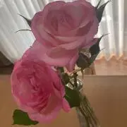 ともみん