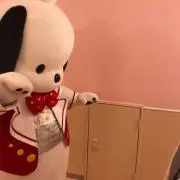 めこちゃん