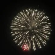 ネモ