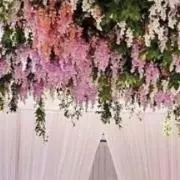 mの画像