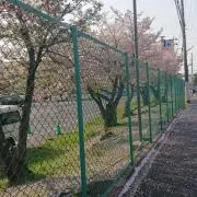 マミー☆キッズの画像