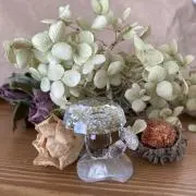 きのこ♪プロフ必読の画像