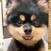 みゆきの画像