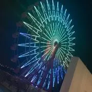 T*I様 サ*ー様 阪神 北條史也実使用グローブ - メルカリ