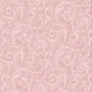 Yの画像