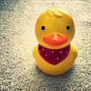 ディーやんの画像