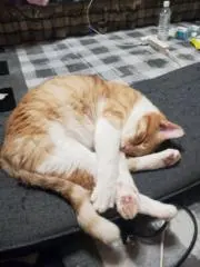 kazuの画像