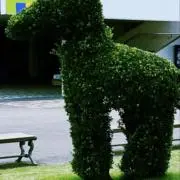 のりの画像