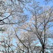 jxjxの画像
