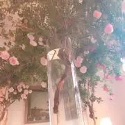 mafの画像