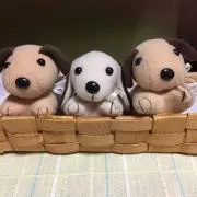 ひろちゃんの画像