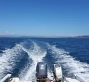 seamasterの画像
