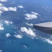 二枚爪の画像