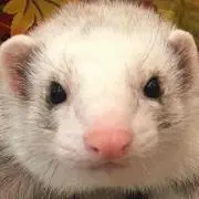 yukaの画像