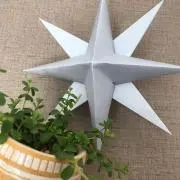 ＊チャチャ＊の画像