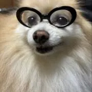 nagatoの画像