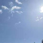 たぴ‎✿の画像
