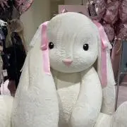 jerugoguの画像