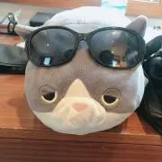 きゅっぷい　プロフ参考の画像