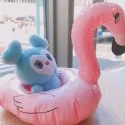 kapoの画像