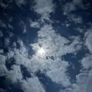 ただしの画像