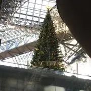 ぱな。