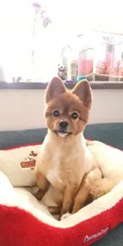 RANRICH JEWEL BRIGHT GEL 50g - メルカリ