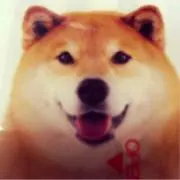 myu_08の画像