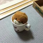 Ｐちゃんの画像