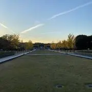 けい