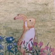 pocoの画像