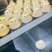 ひよこ  即購入⭕️の画像