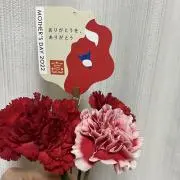 こんの画像