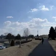 PINUS  AGERの画像