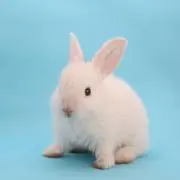 もあの画像