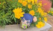 ぽんじぃ
